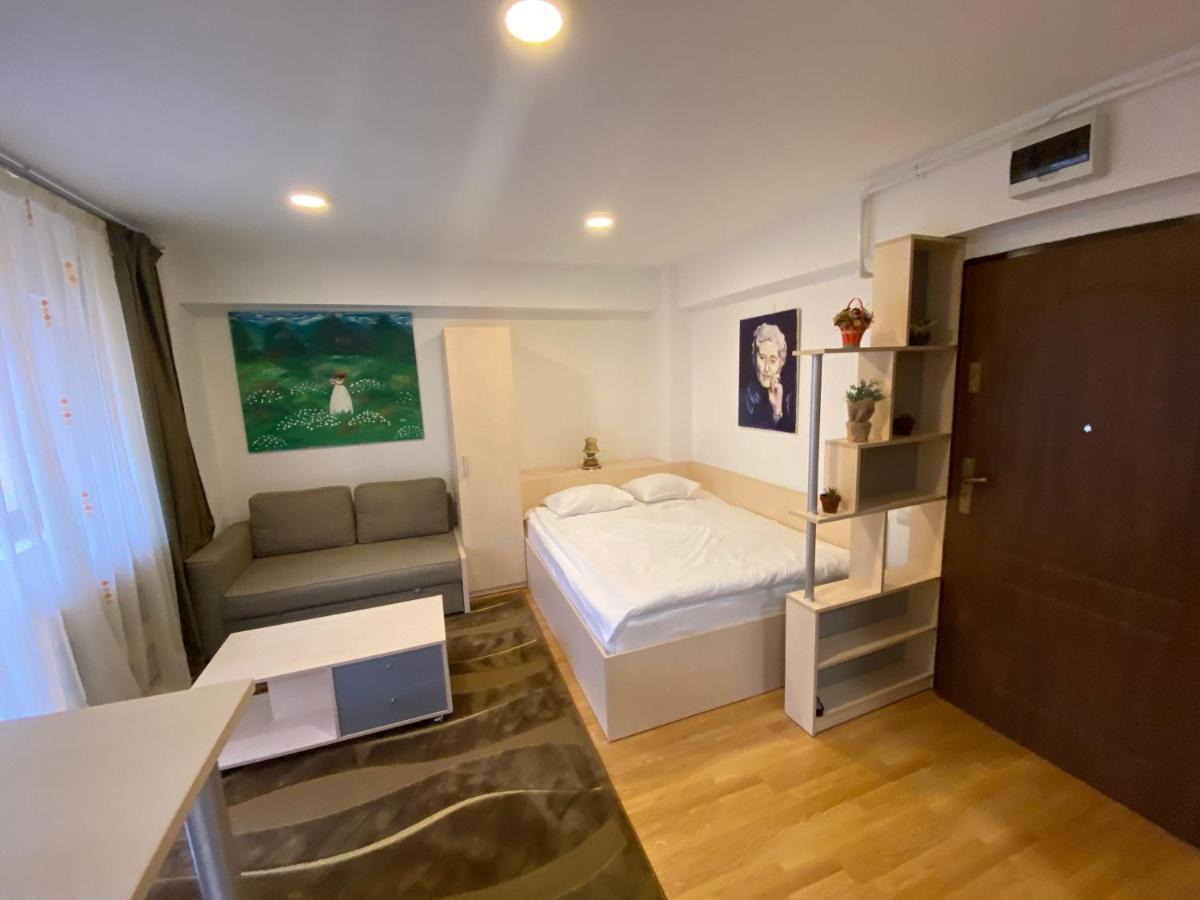 Sinaia Chic Minisuite Mirage-Self Check-In&Free Parking Экстерьер фото