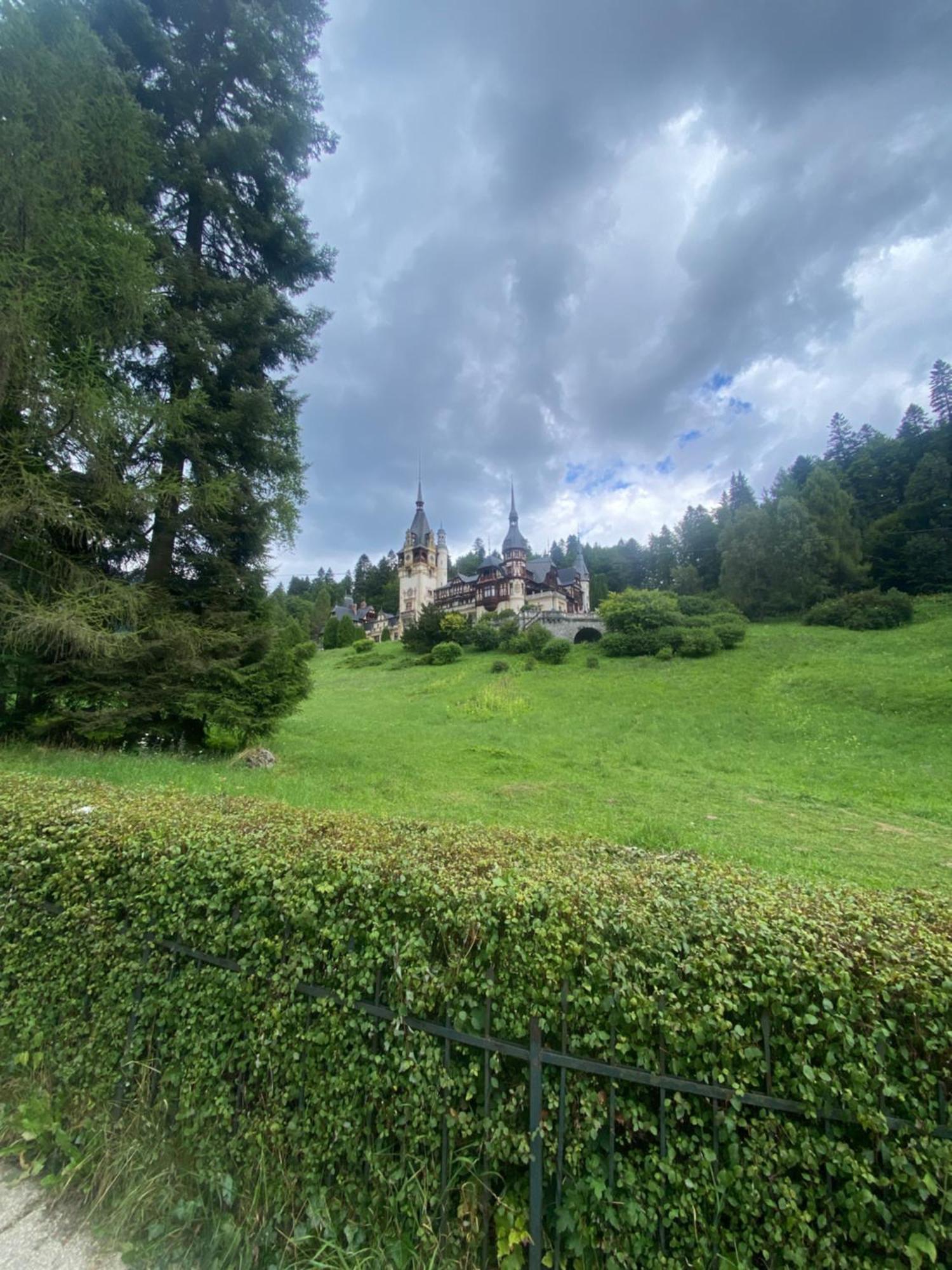 Sinaia Chic Minisuite Mirage-Self Check-In&Free Parking Экстерьер фото