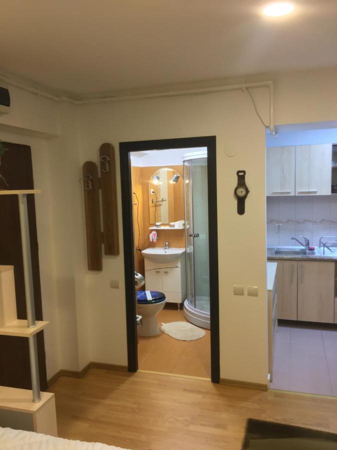 Sinaia Chic Minisuite Mirage-Self Check-In&Free Parking Экстерьер фото